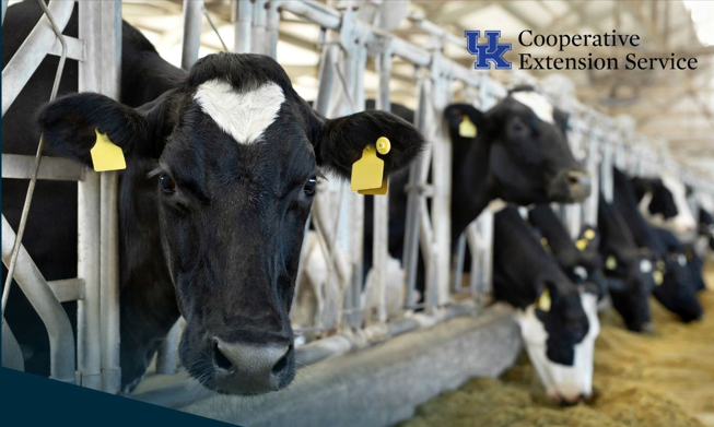 Dairy Gauge Photo