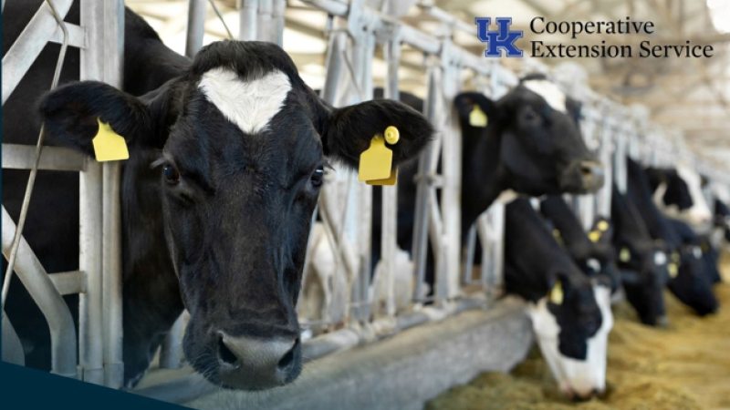 Dairy Gauge Photo